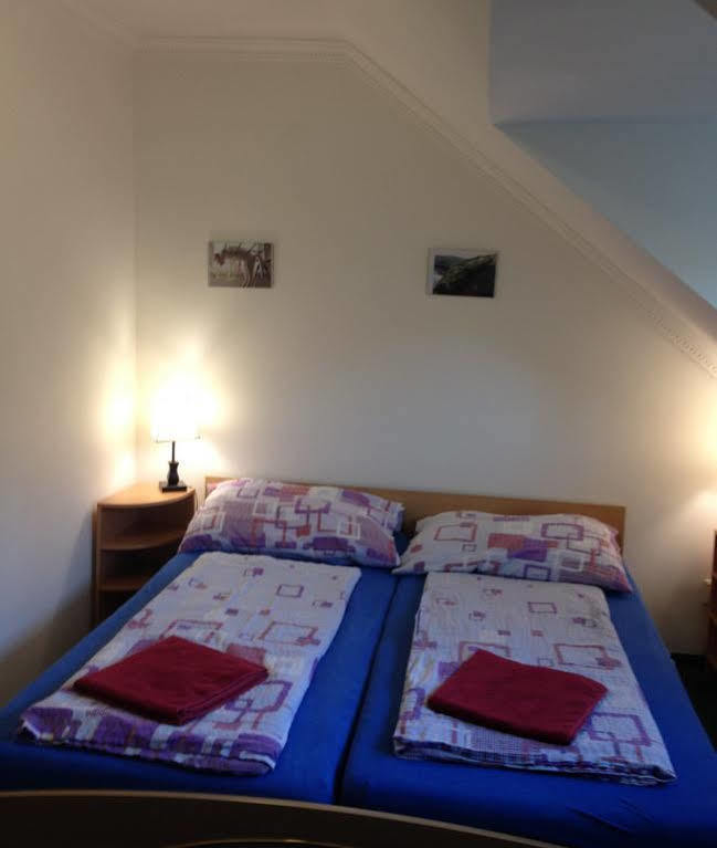 Hotel Minihotel Vitex Praga