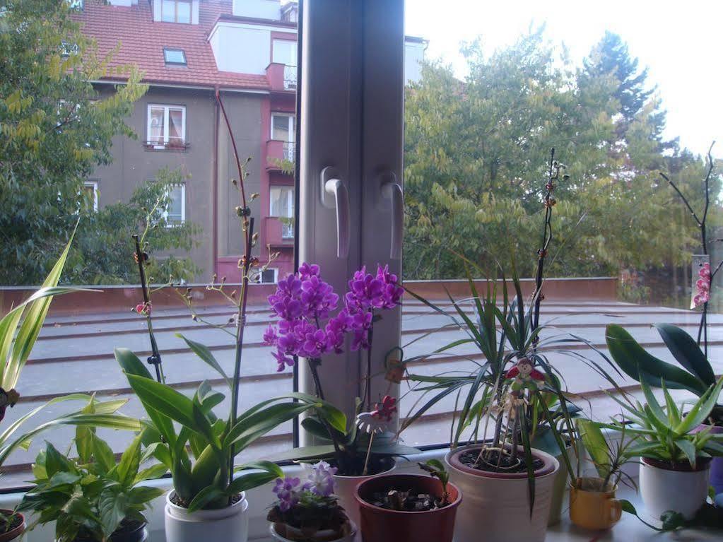 Minihotel Vitex Praha